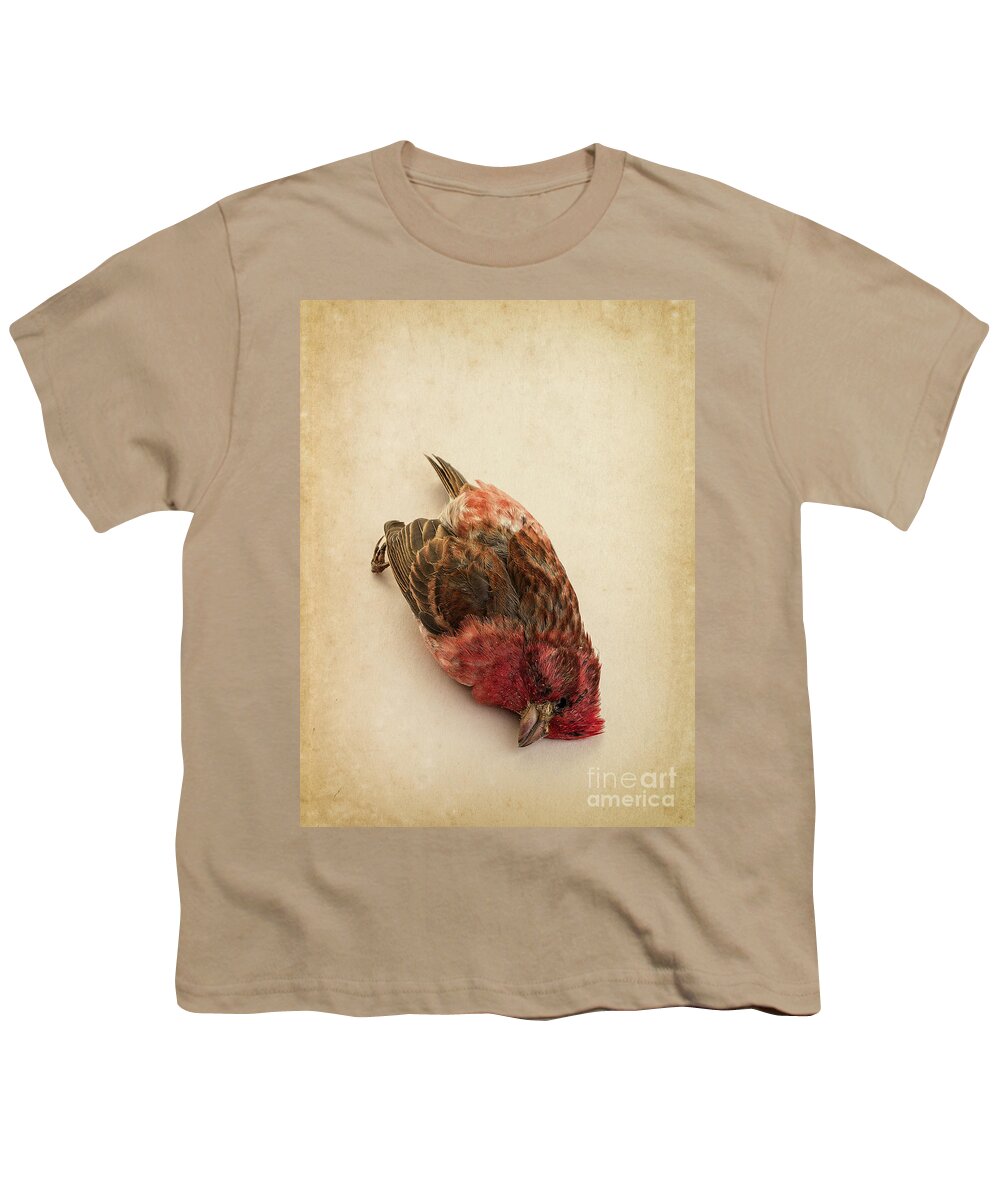 Bird Youth T-Shirt featuring the photograph Death of the Innocent by Edward Fielding