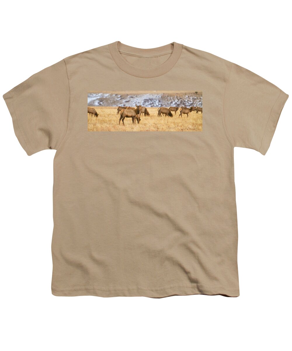 Elk Youth T-Shirt featuring the photograph Elk Herd Colorado Foothills Plains Panorama by James BO Insogna
