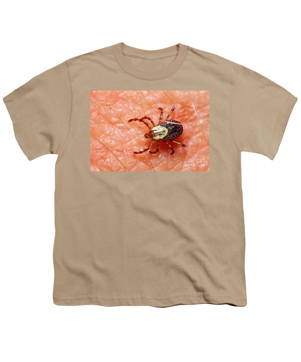 Wood Tick Youth T-Shirt featuring the photograph Female Wood Tick by Larry West