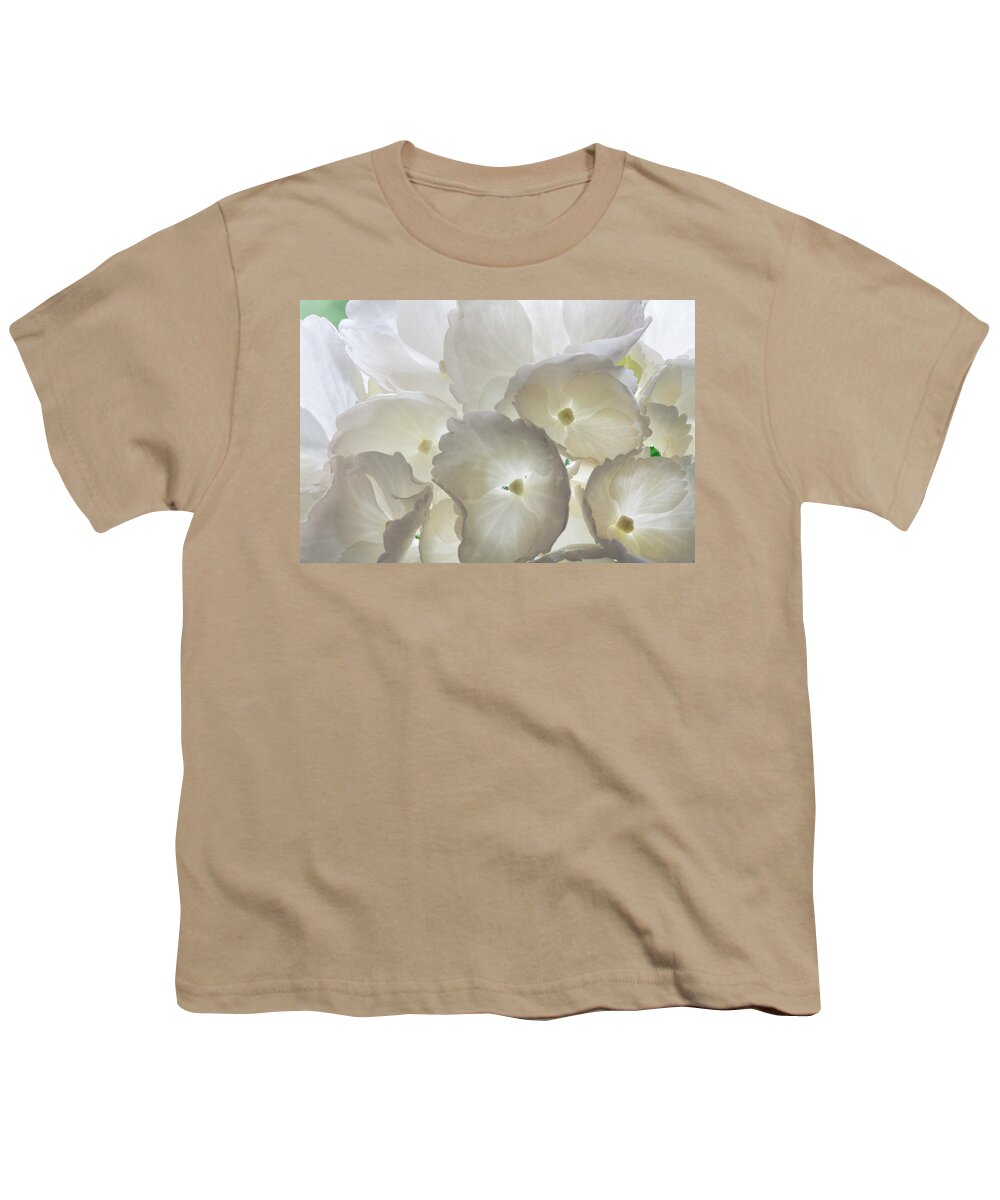 Hydrangea Youth T-Shirt featuring the photograph Filtered Light by Shirley Mitchell