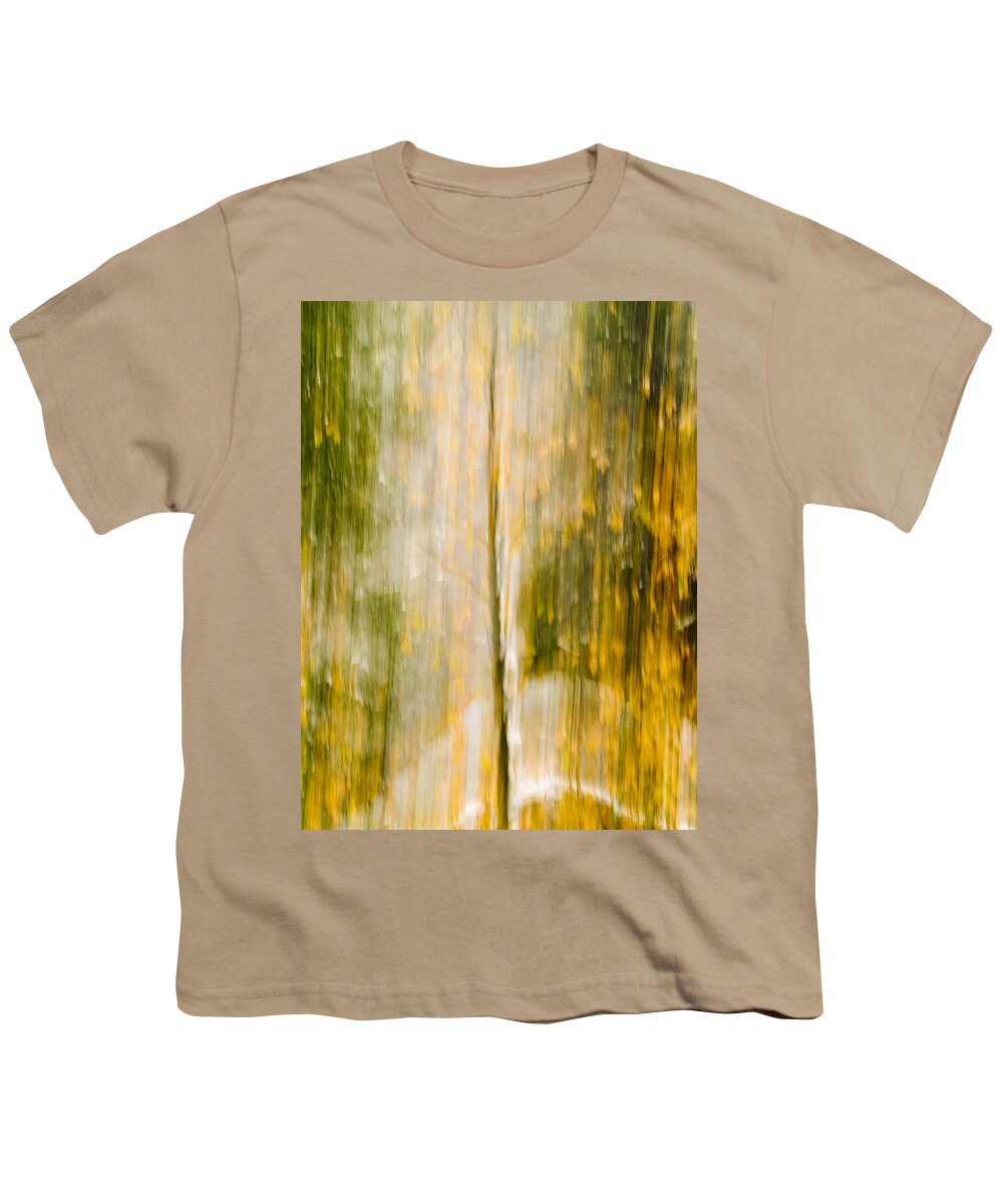 Trees Youth T-Shirt featuring the photograph Golden Falls by Bill Gallagher