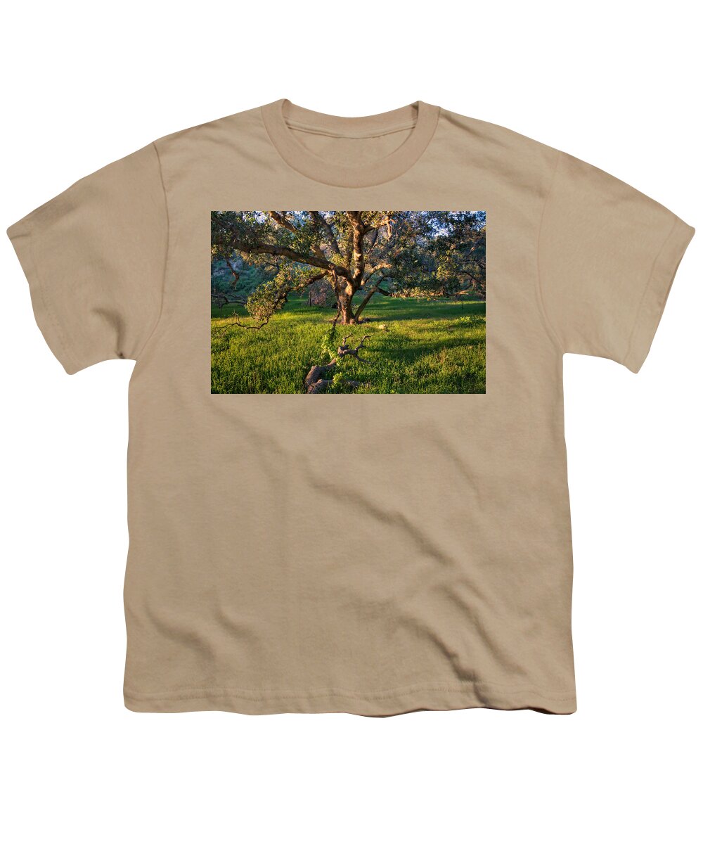 Gold Youth T-Shirt featuring the photograph Golden Oak by Lynn Bauer