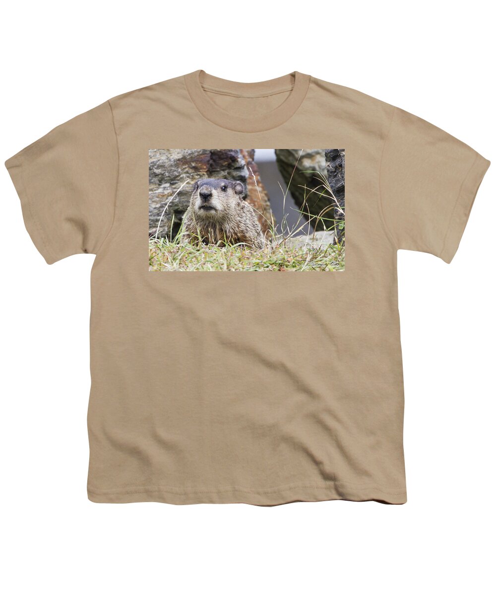 New Castle Youth T-Shirt featuring the photograph Groundhog by Natalie Rotman Cote