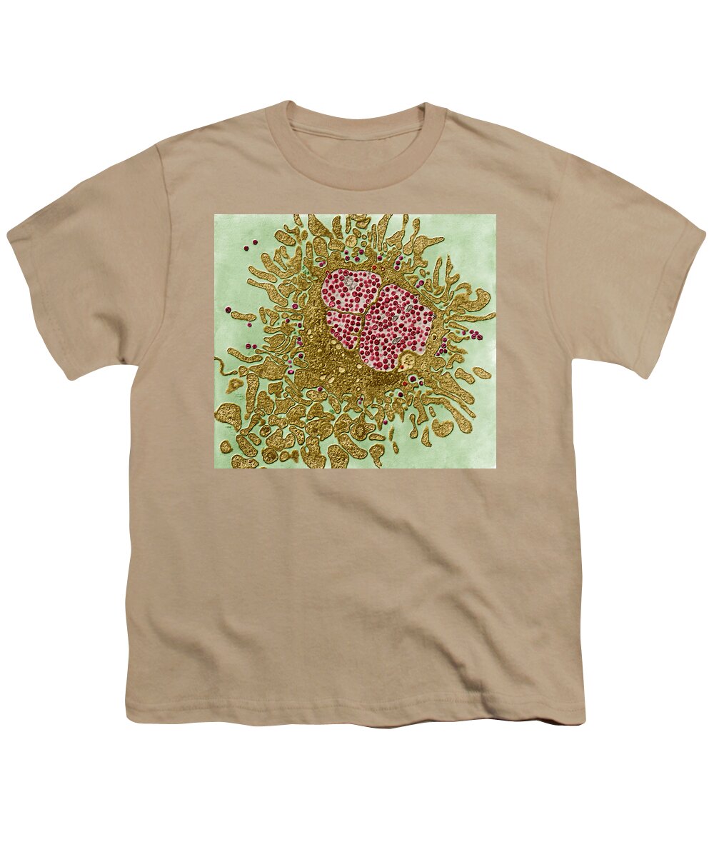 Viruses Youth T-Shirt featuring the photograph Hiv And Lymphocyte, Tem by Eye of Science