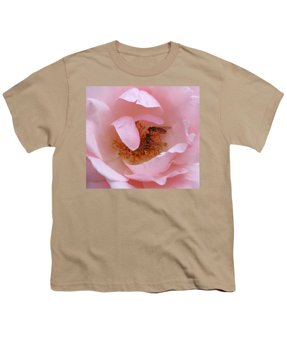 Hoverflies Youth T-Shirt featuring the photograph Hoverflies Feeding by John Topman