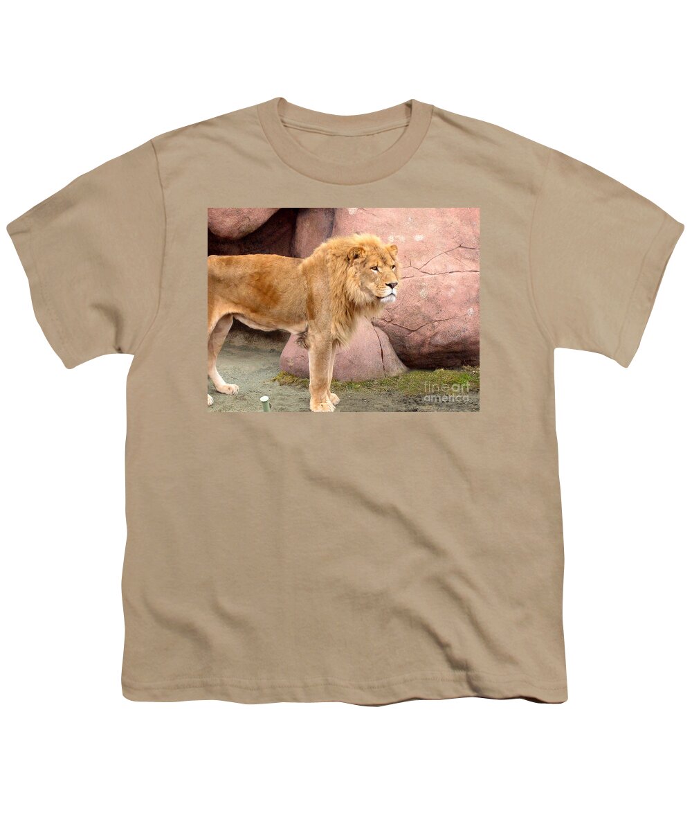 Lions Youth T-Shirt featuring the photograph Lion Ready by Nina Silver