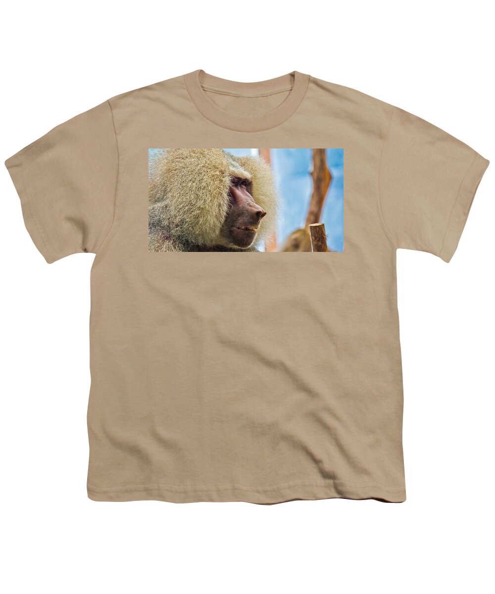 Close Youth T-Shirt featuring the photograph Male Baboon by Jonny D