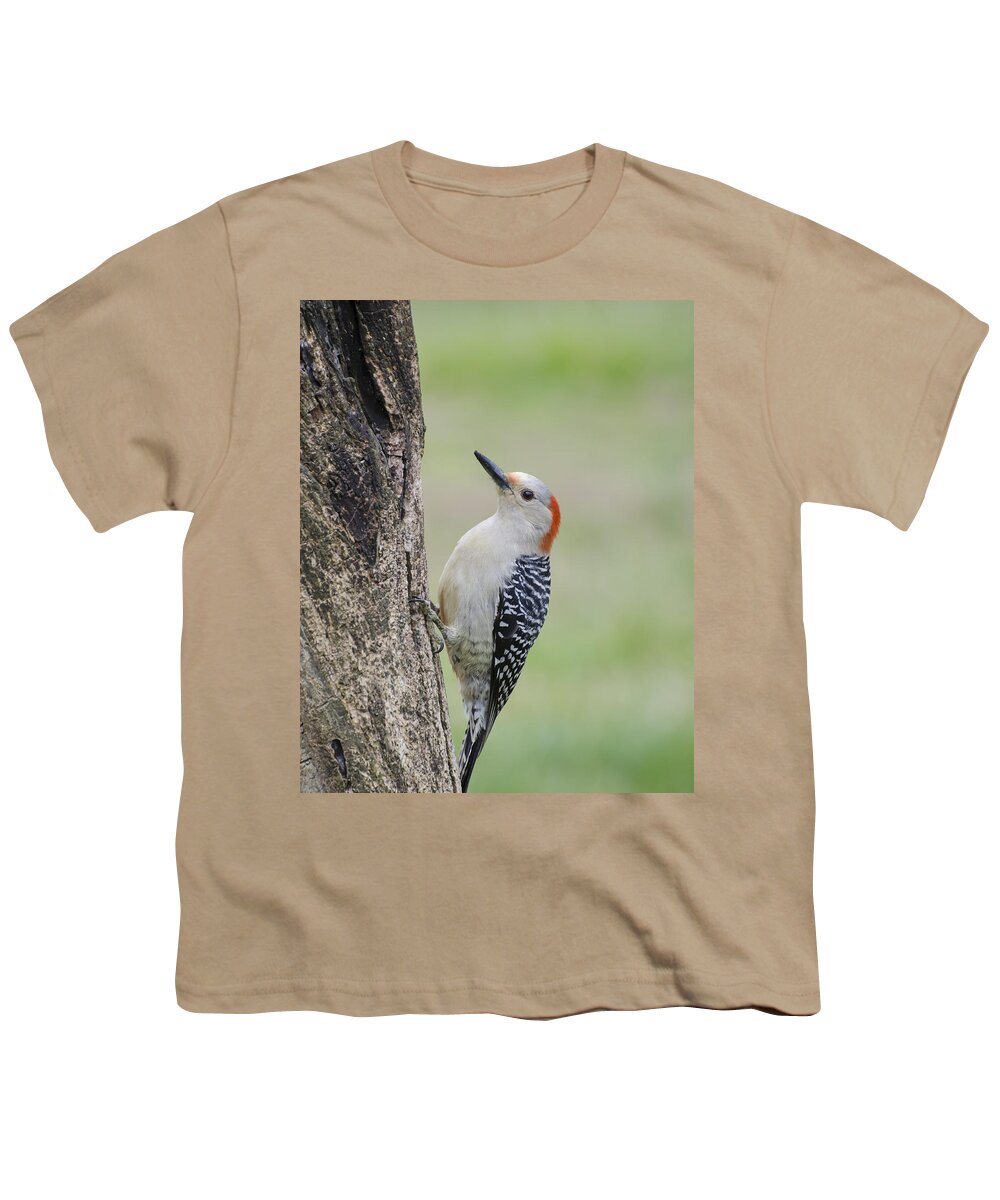 Woodpecker Youth T-Shirt featuring the photograph Red Bellied Woodpecker by Heather Applegate