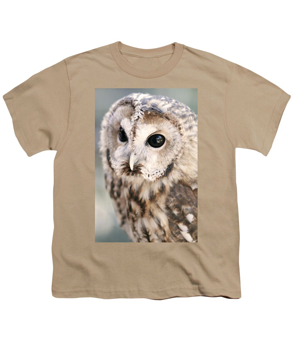 Owl Youth T-Shirt featuring the photograph Spotted Owl by Shoal Hollingsworth