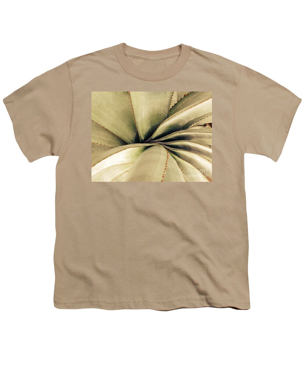 Succulent Youth T-Shirt featuring the photograph Succulent by Jacklyn Duryea Fraizer