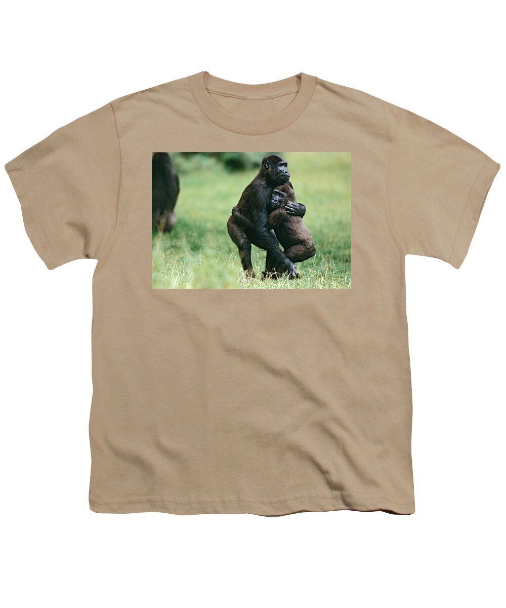 00198592 Youth T-Shirt featuring the photograph Gorillas Embracing by Konrad Wothe