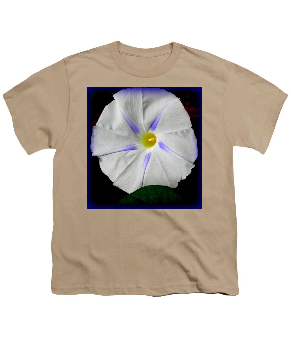 Morning Glory Youth T-Shirt featuring the photograph White Morning by Kim Galluzzo