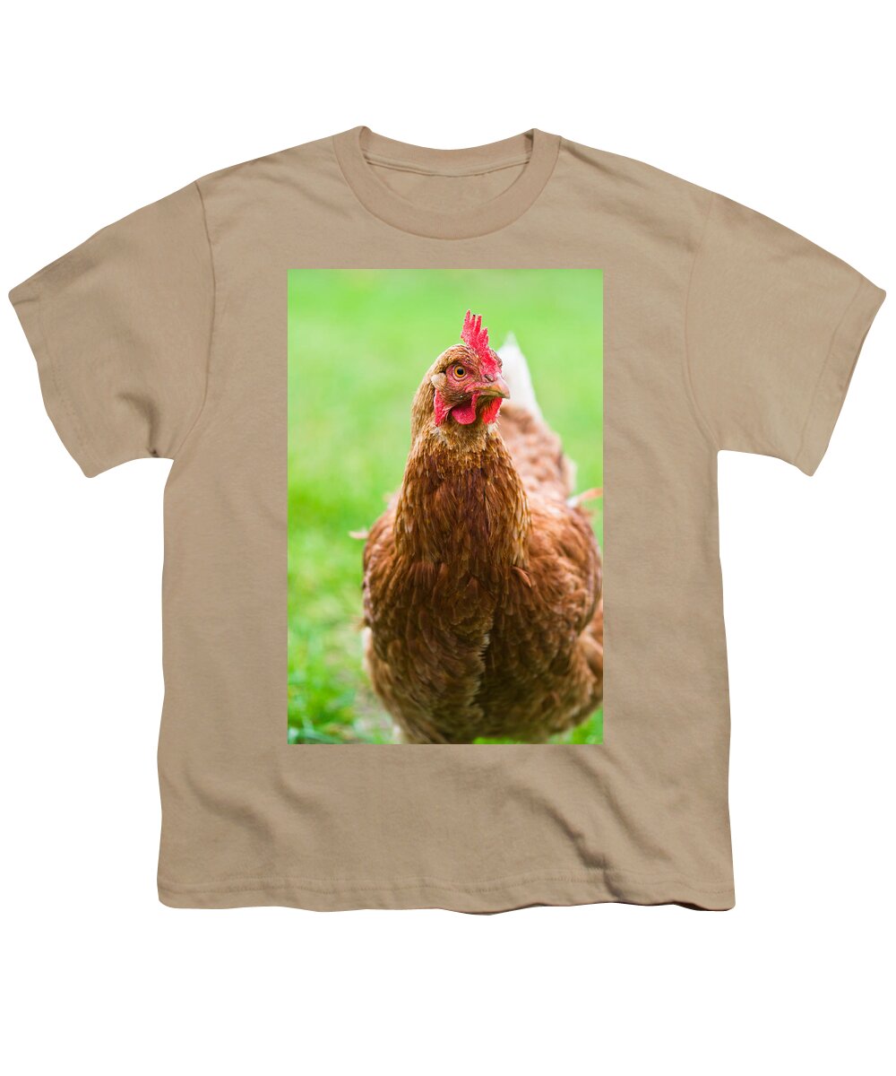 Animal Youth T-Shirt featuring the photograph Brown hen on a lawn #1 by U Schade