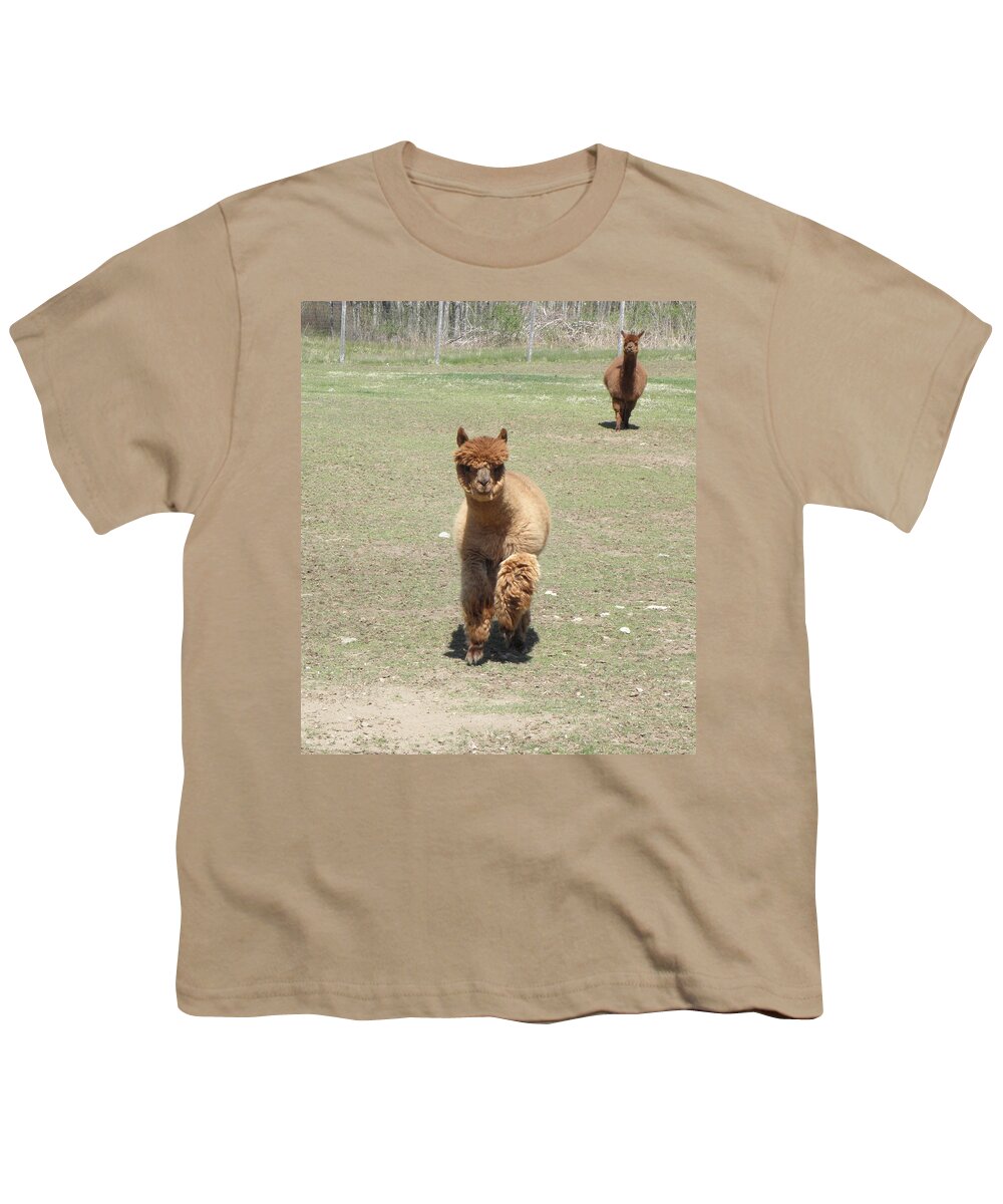 Alpaca Youth T-Shirt featuring the photograph Here we come by Kim Galluzzo Wozniak