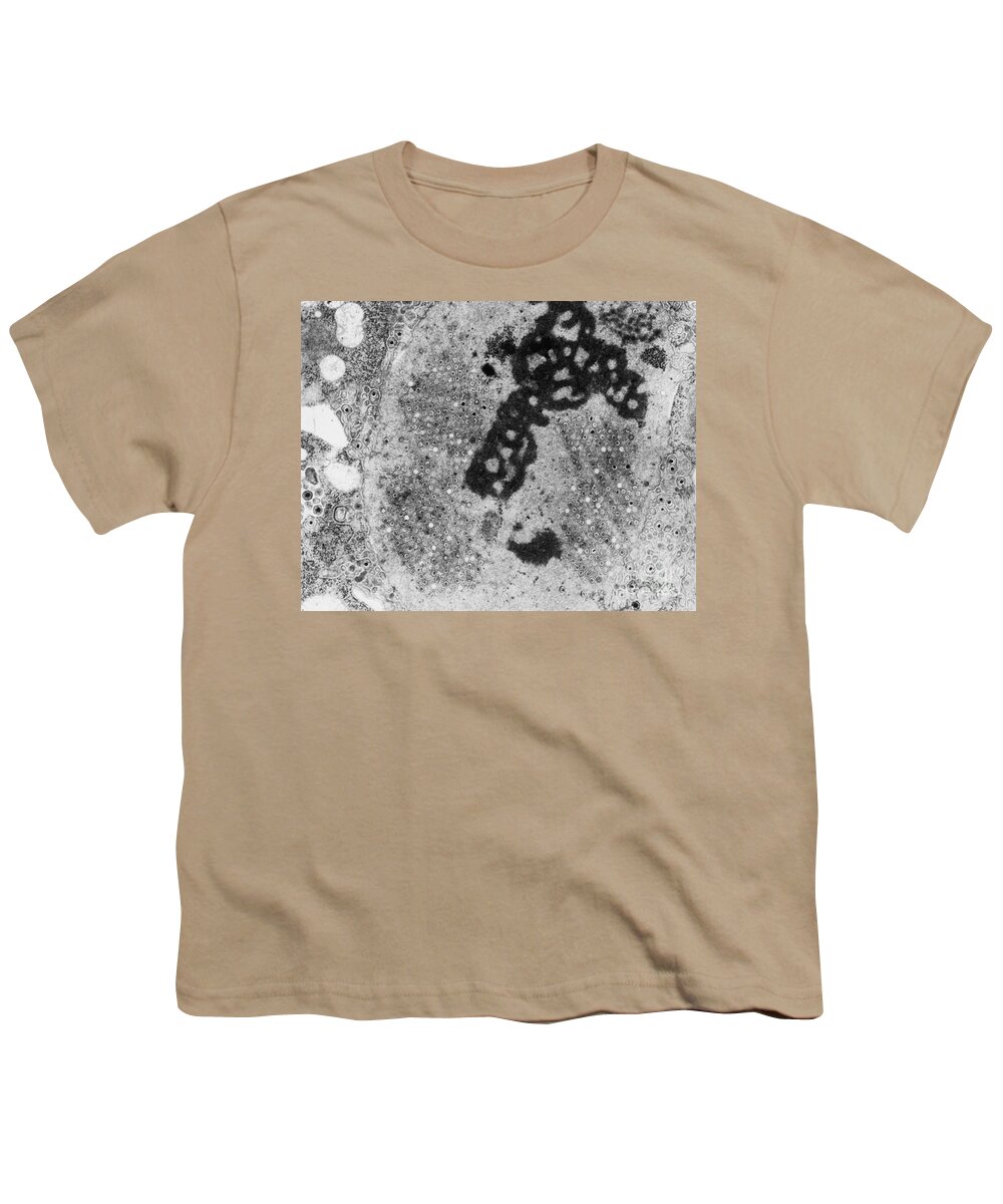 Histology Youth T-Shirt featuring the photograph Herpes Simplex Virus #1 by Science Source