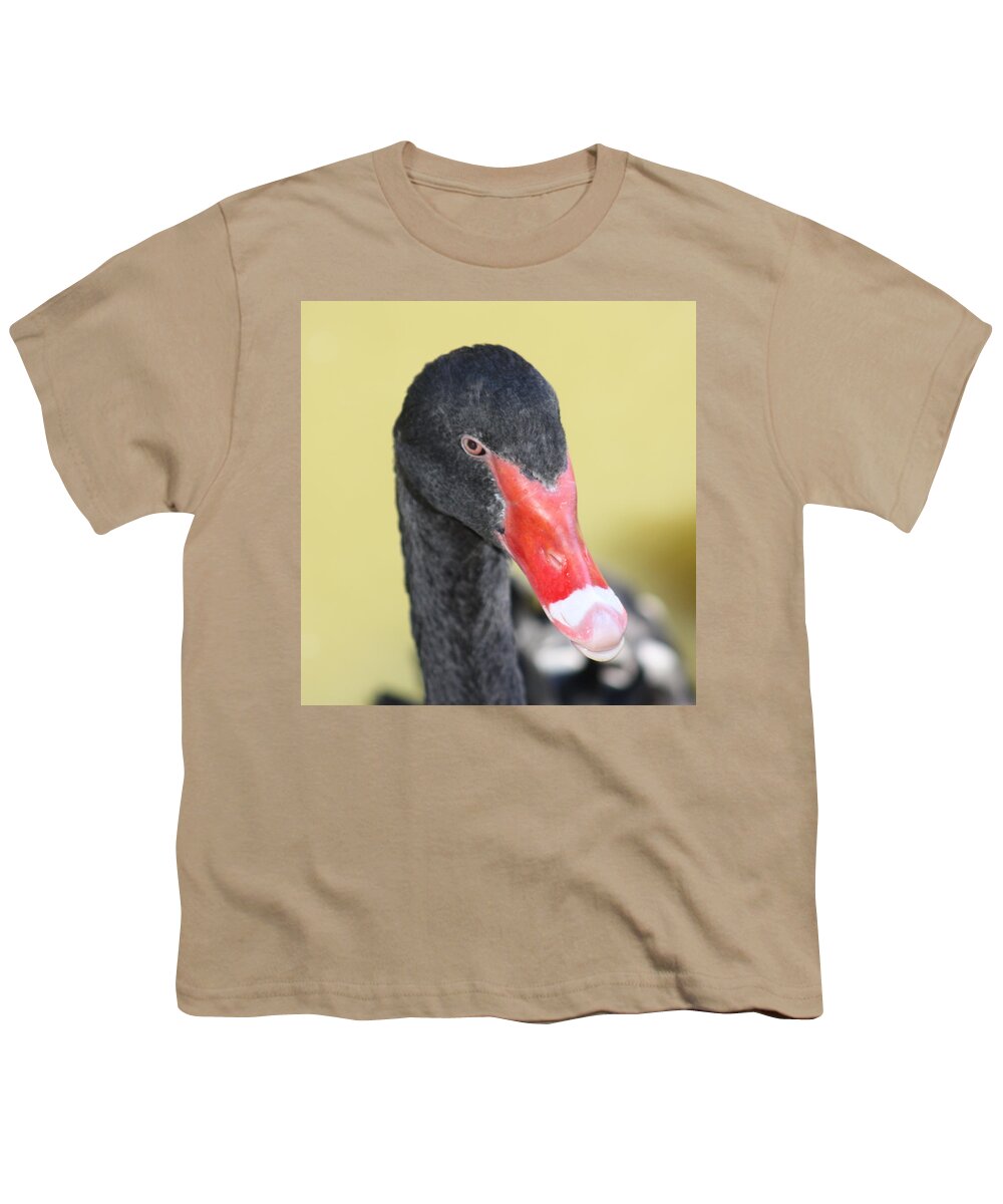 Black Youth T-Shirt featuring the photograph Black Swan by Kim Galluzzo Wozniak
