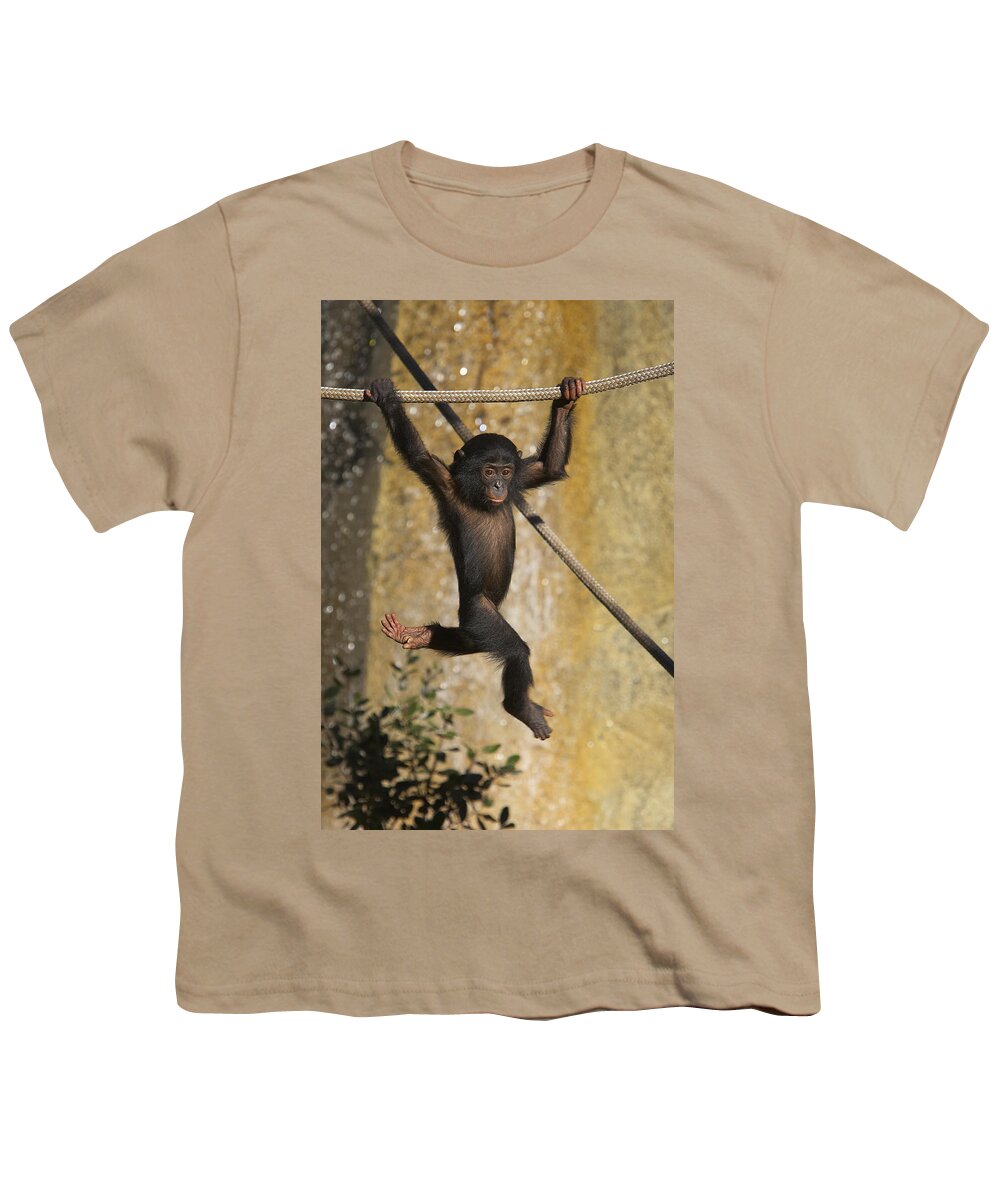 Baby Youth T-Shirt featuring the photograph Bonobo Pan Paniscus Baby Playing by San Diego Zoo