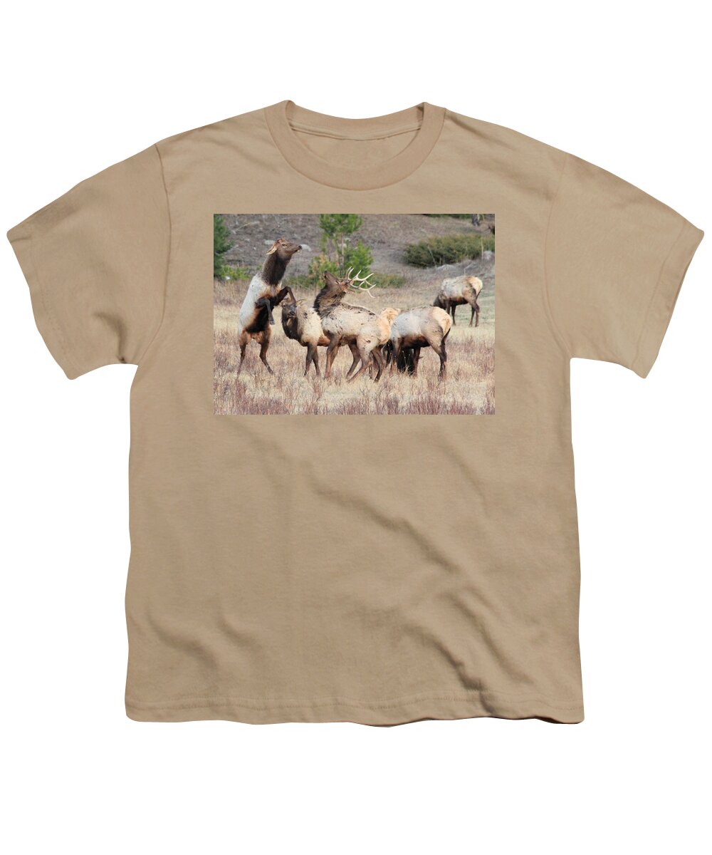 Elk Youth T-Shirt featuring the photograph Boxing Match by Shane Bechler