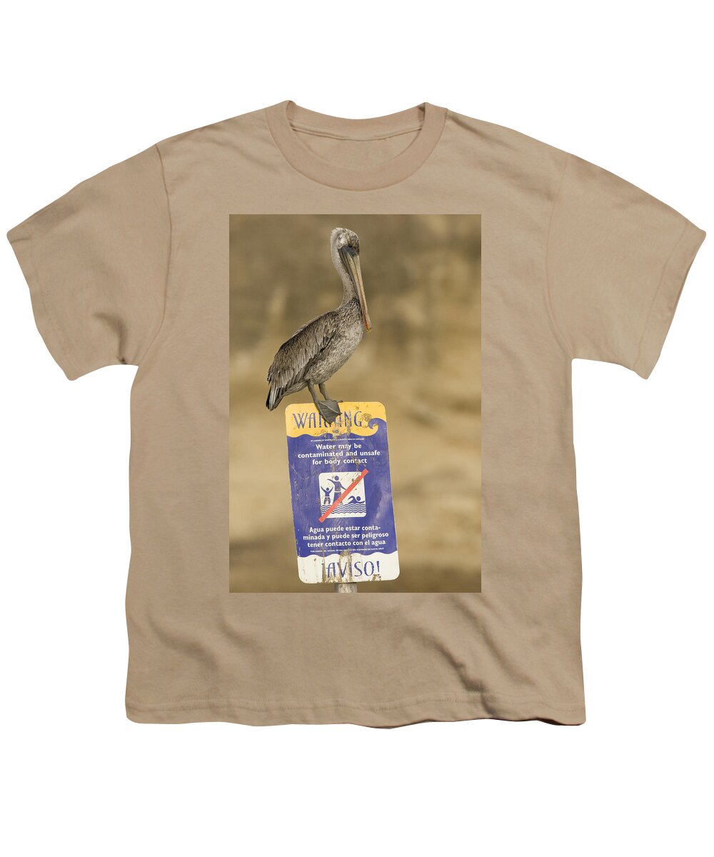 00429766 Youth T-Shirt featuring the photograph Brown Pelican On Contaminated Water by Sebastian Kennerknecht