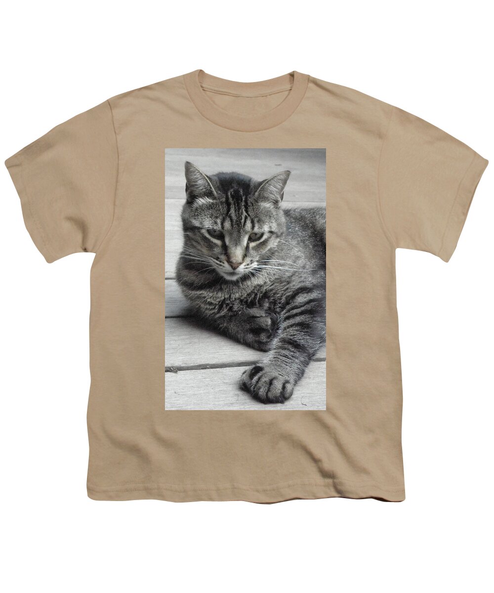 Cat Youth T-Shirt featuring the photograph Cisco And His Big Feet by Kim Galluzzo