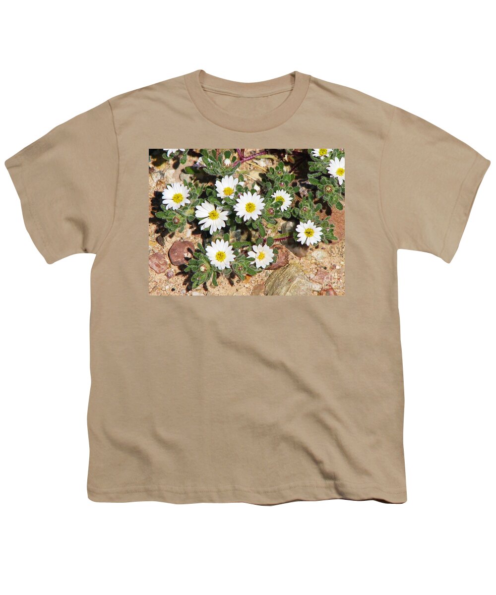 Mojave Desert Wildflower Youth T-Shirt featuring the photograph Desert Star by Michele Penner