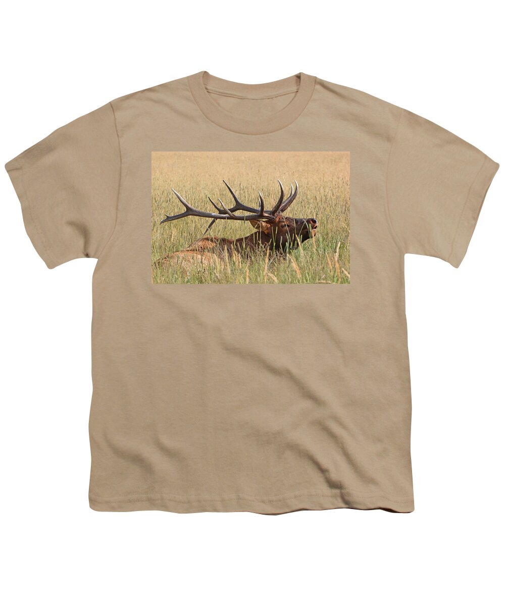 Wildlife Youth T-Shirt featuring the photograph Elk Bugle by Scott Mahon