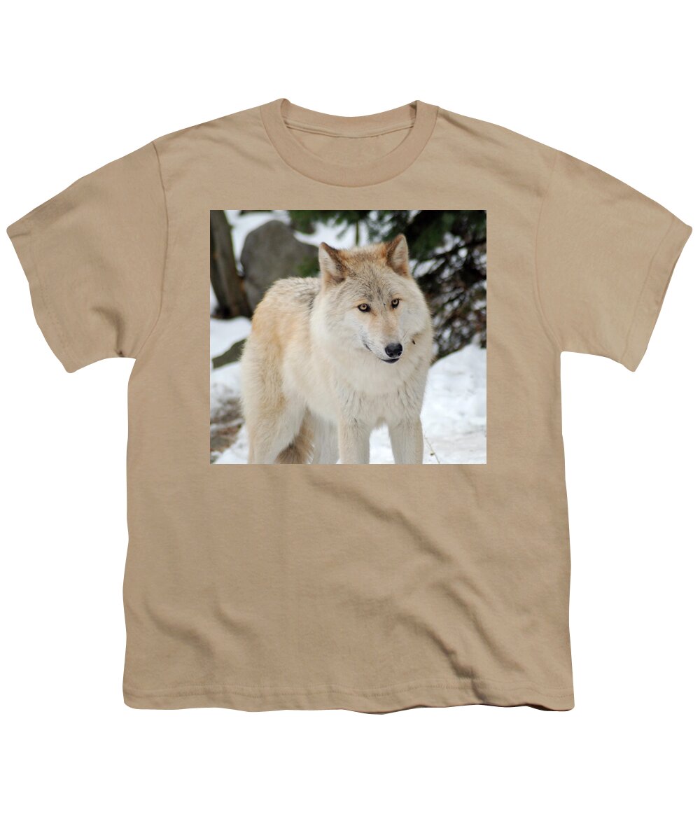 Wolf Youth T-Shirt featuring the photograph Happy Wolf by Richard Bryce and Family