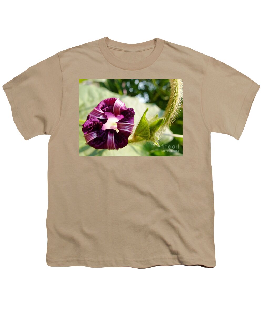 Morning Glory Youth T-Shirt featuring the photograph Morning Glory Flower by Amalia Suruceanu