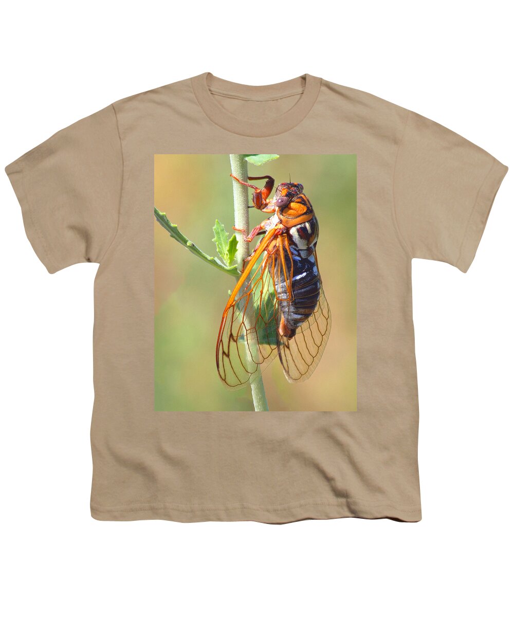 Cicada Youth T-Shirt featuring the photograph Noisy Cicada by Shane Bechler