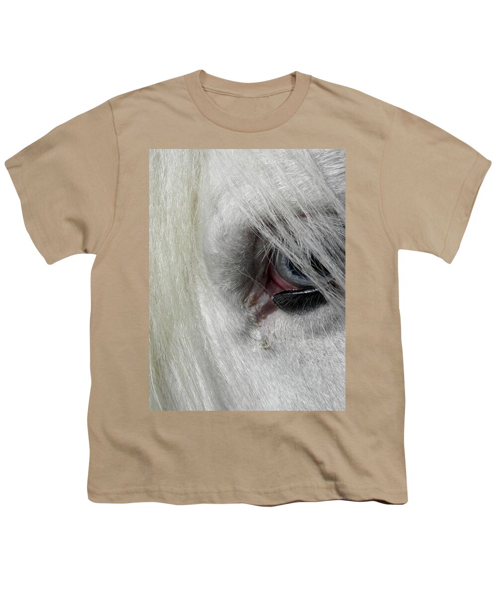 Gypsy Vanner Horse Youth T-Shirt featuring the photograph Peaking Thru With Eyes So Blue by Kim Galluzzo