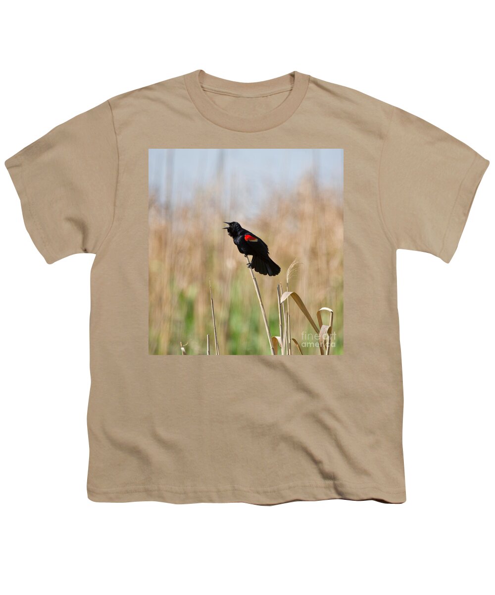 Red Winged Blackbird Youth T-Shirt featuring the photograph Red-winged Blackbird by Louise Heusinkveld