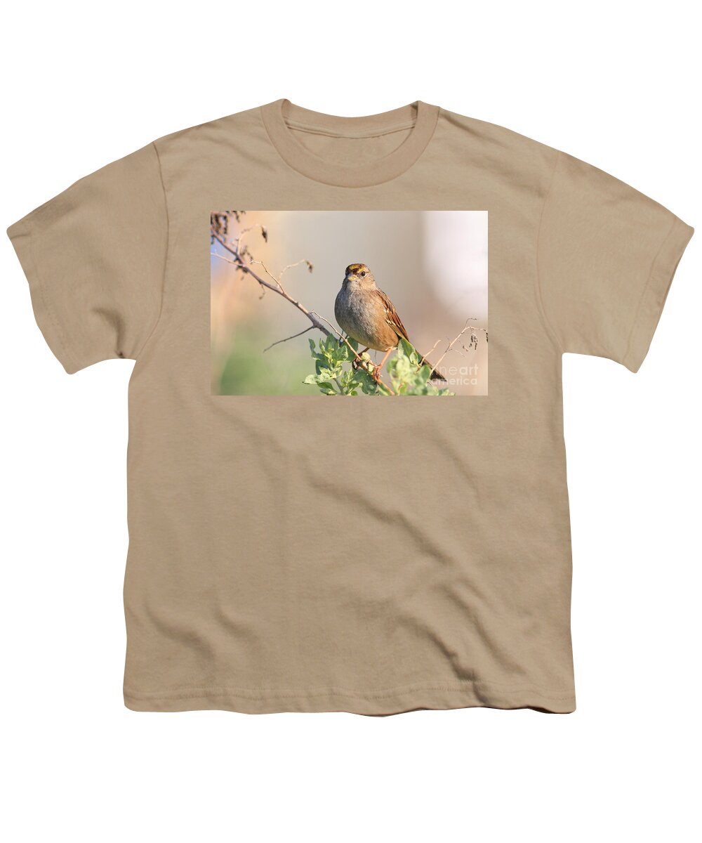Animal Youth T-Shirt featuring the photograph Sparrow Bird Perched . 40D12304 by Wingsdomain Art and Photography