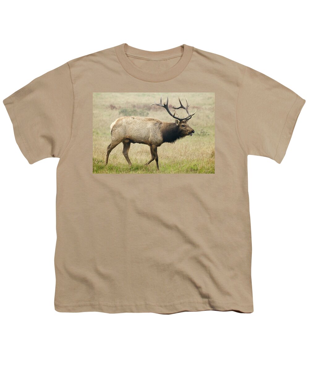 00499824 Youth T-Shirt featuring the photograph Tule Elk Bull Bugling During Rut Point by Sebastian Kennerknecht