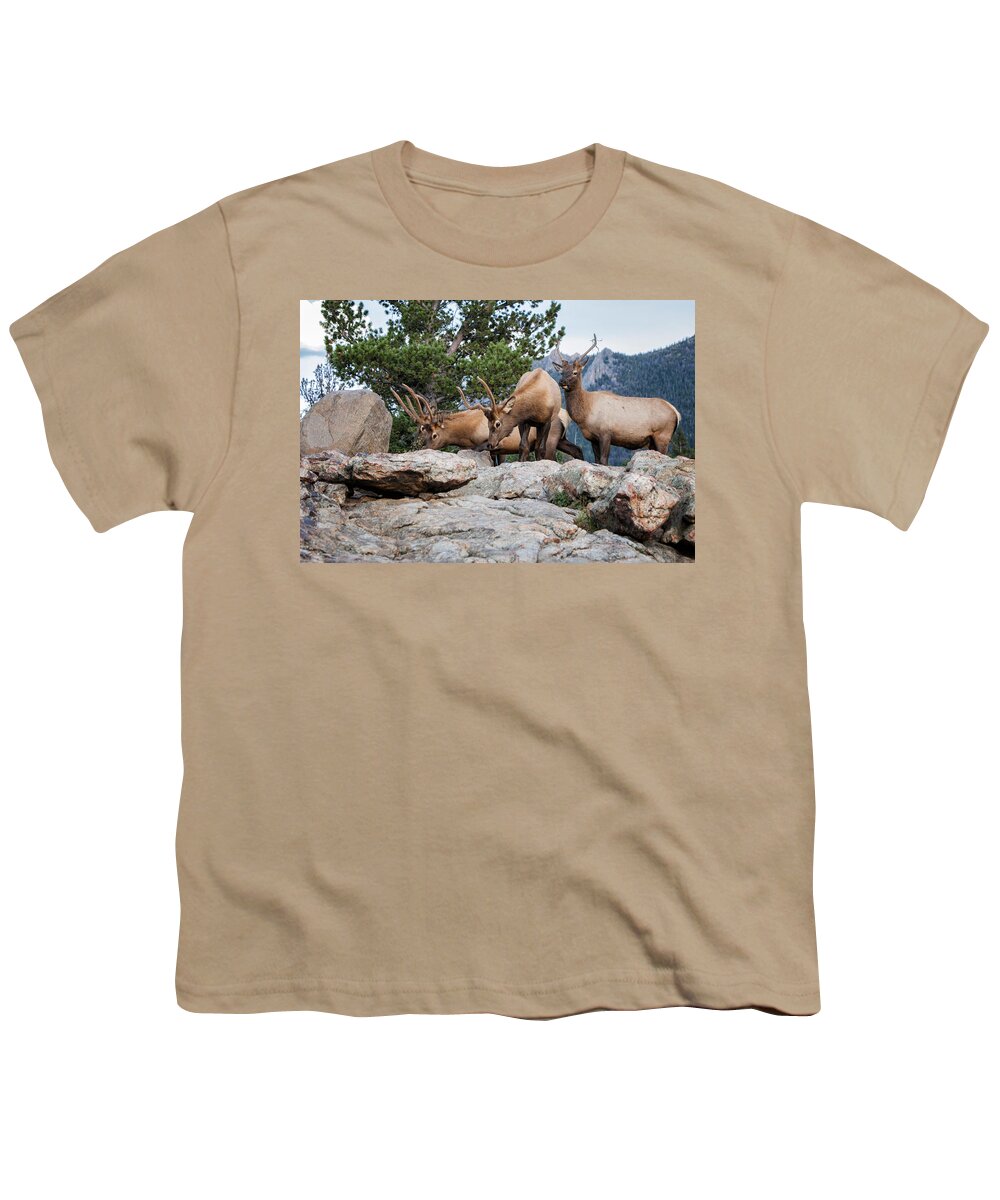 2012 Youth T-Shirt featuring the photograph Wapiti by Ronald Lutz