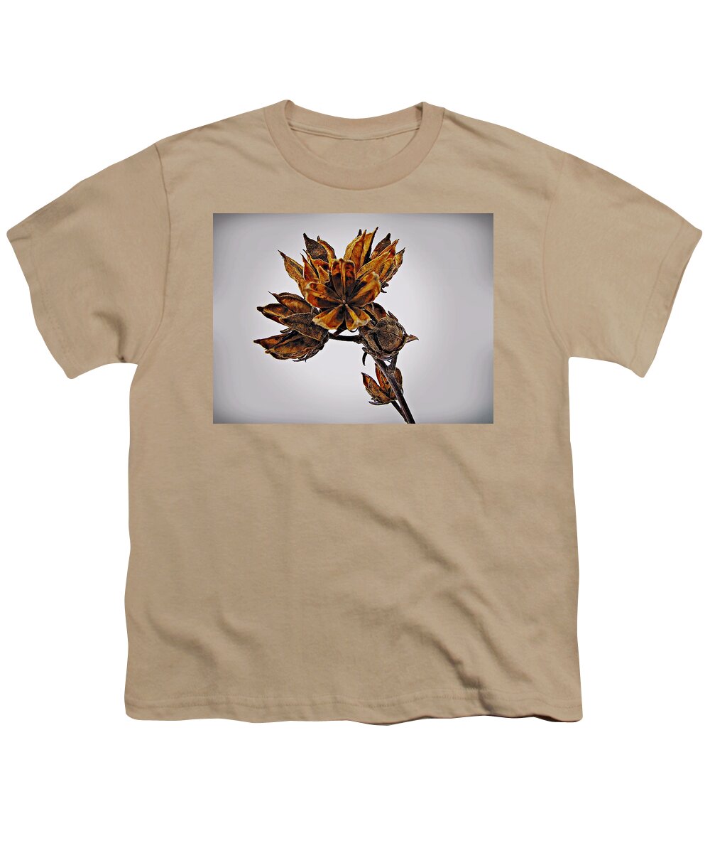 Rose Of Sharon Youth T-Shirt featuring the photograph Winter Dormant Rose of Sharon by David Dehner