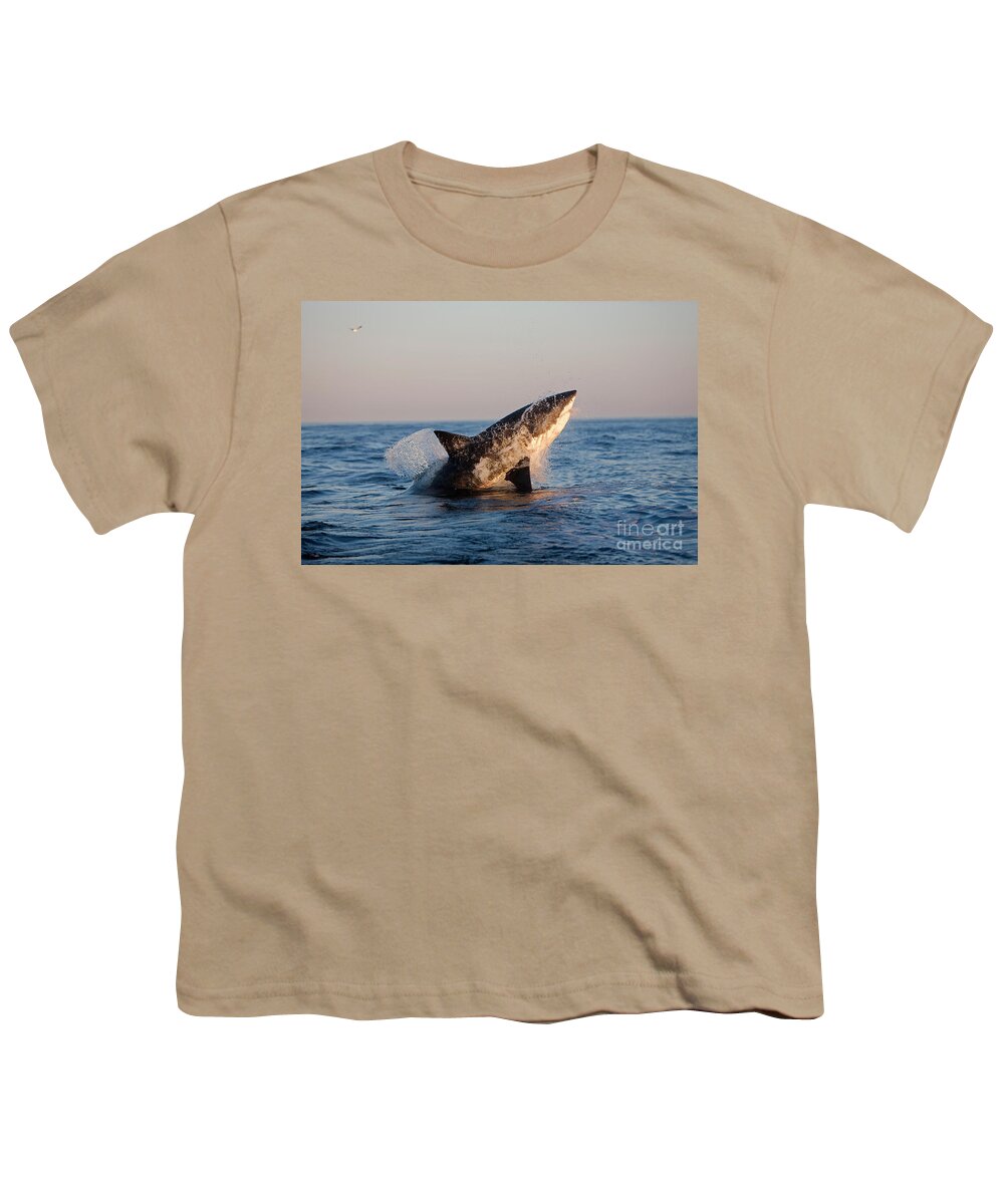 Adult Youth T-Shirt featuring the photograph Great White Shark Carcharodon Carcharias #1 by Gerard Lacz