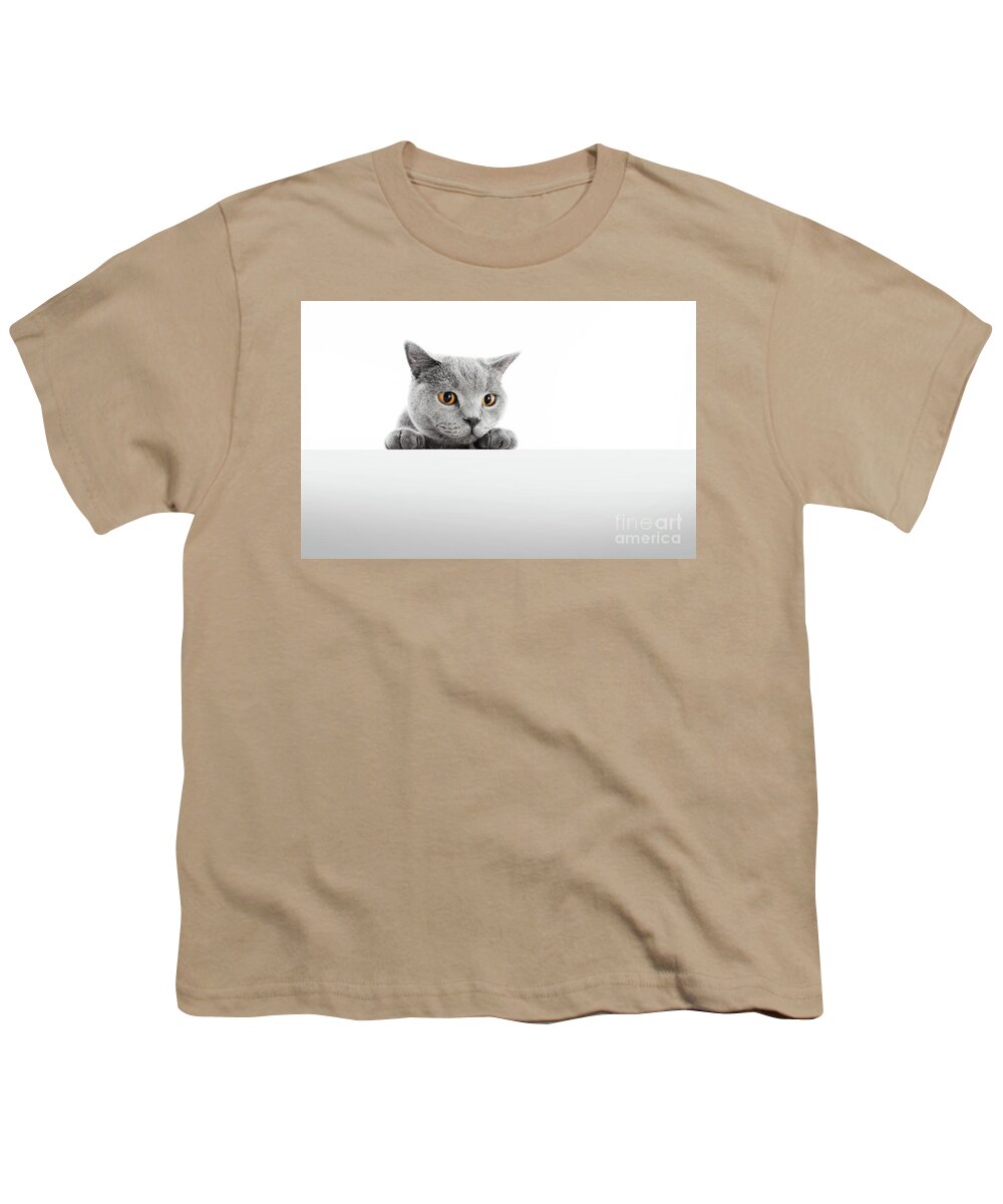 Cat Youth T-Shirt featuring the photograph British Shorthair cat isolated on white. Hunting #2 by Michal Bednarek