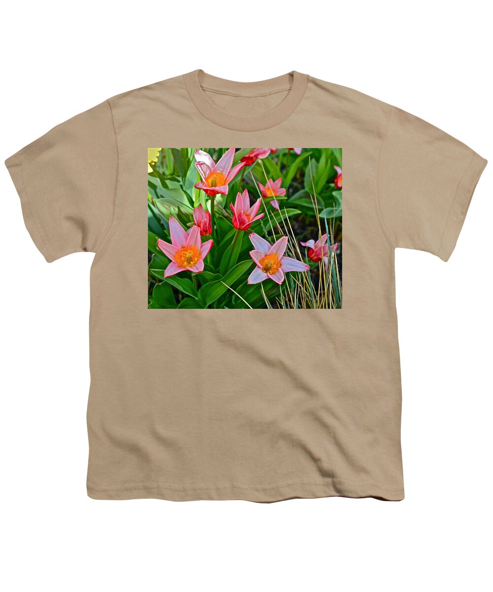 Tulips Youth T-Shirt featuring the photograph 2016 Acewood Tulips 2 by Janis Senungetuk