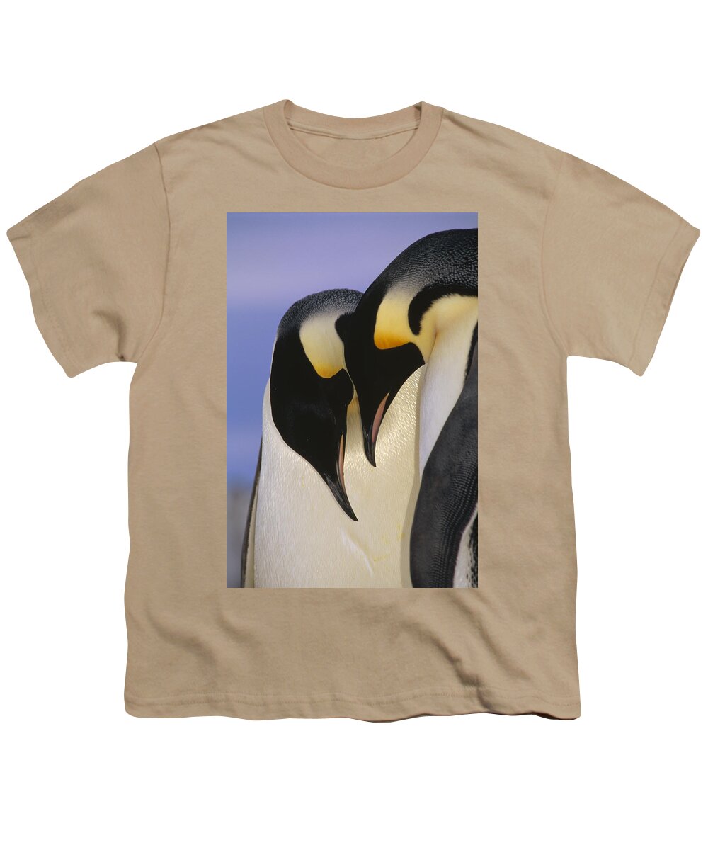 Mp Youth T-Shirt featuring the photograph Emperor Penguin Aptenodytes Forsteri #3 by Tui De Roy