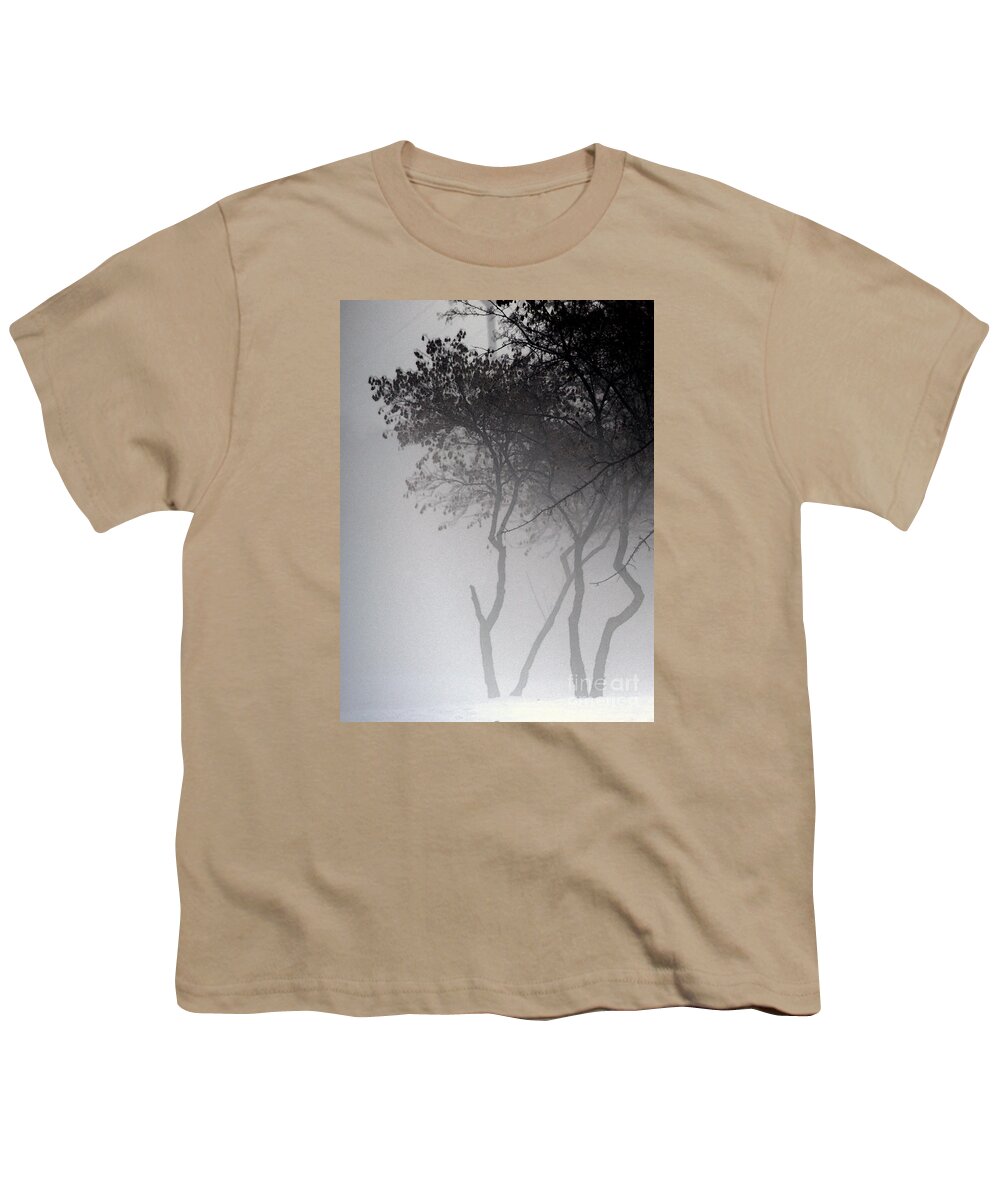 Trees Youth T-Shirt featuring the photograph A Walk Through The Mist by Linda Shafer
