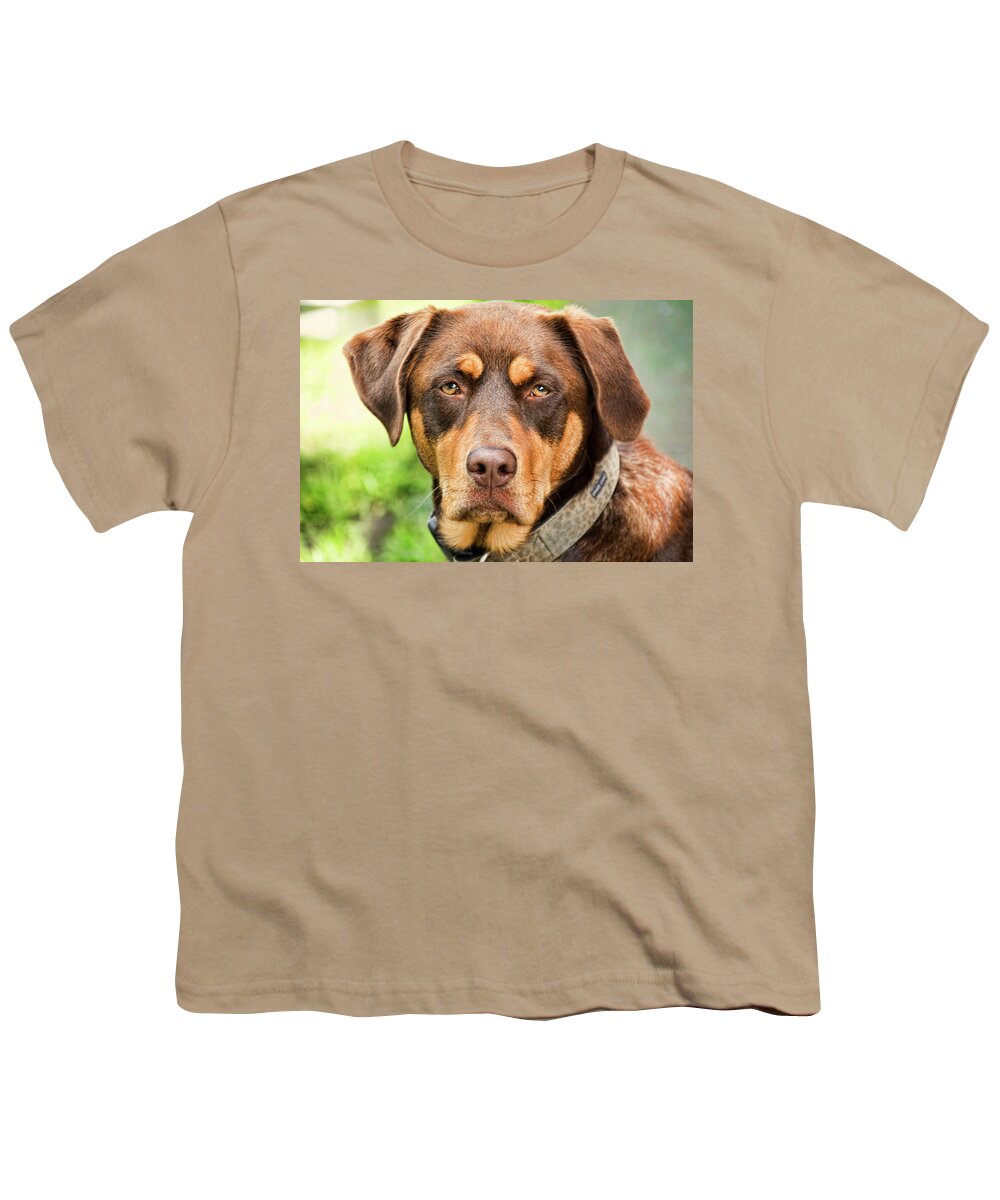 Mutt Youth T-Shirt featuring the photograph Brown Dog by Peggy Collins