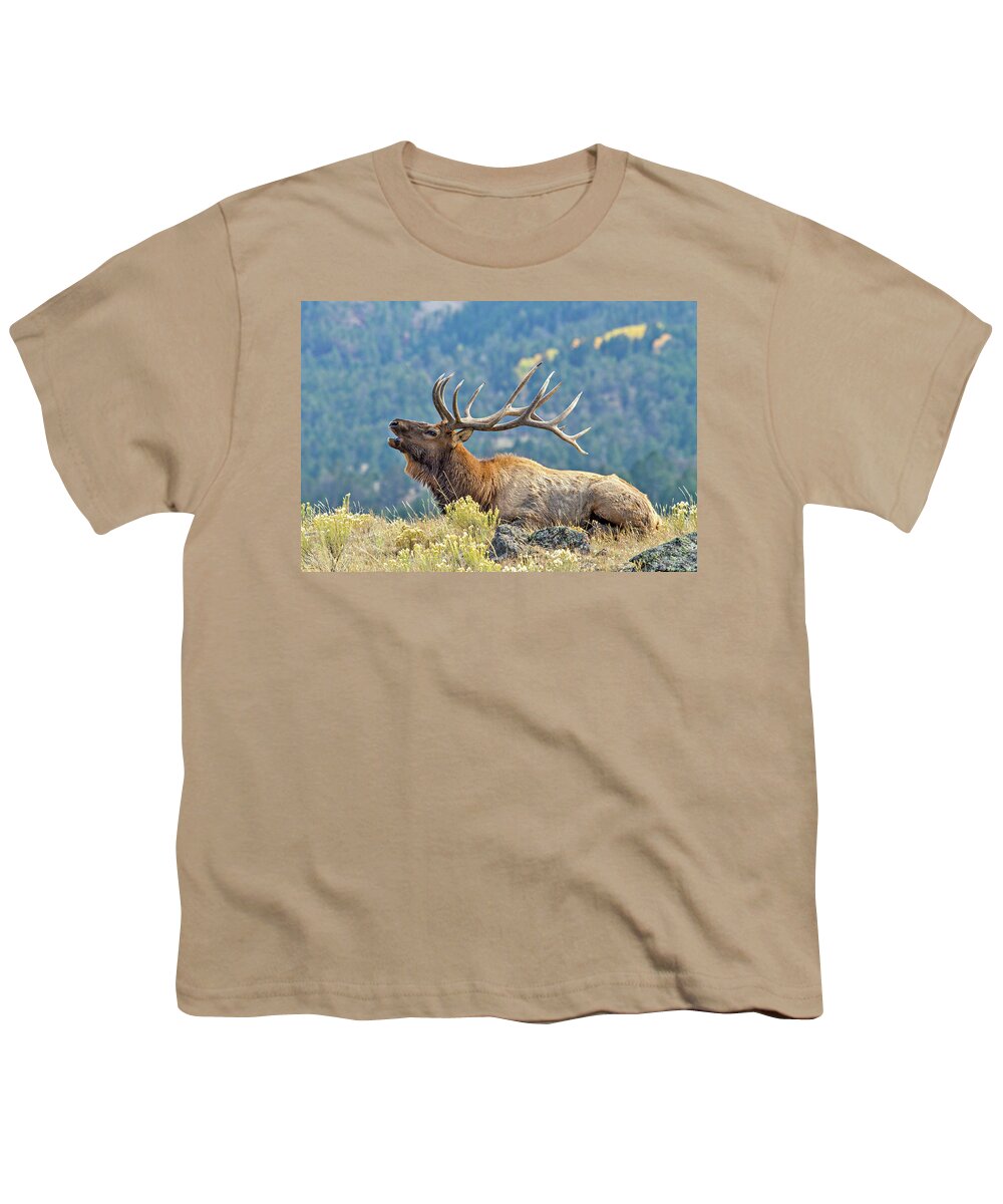 Bugle Youth T-Shirt featuring the photograph Bull Elk Bugling by Wesley Aston