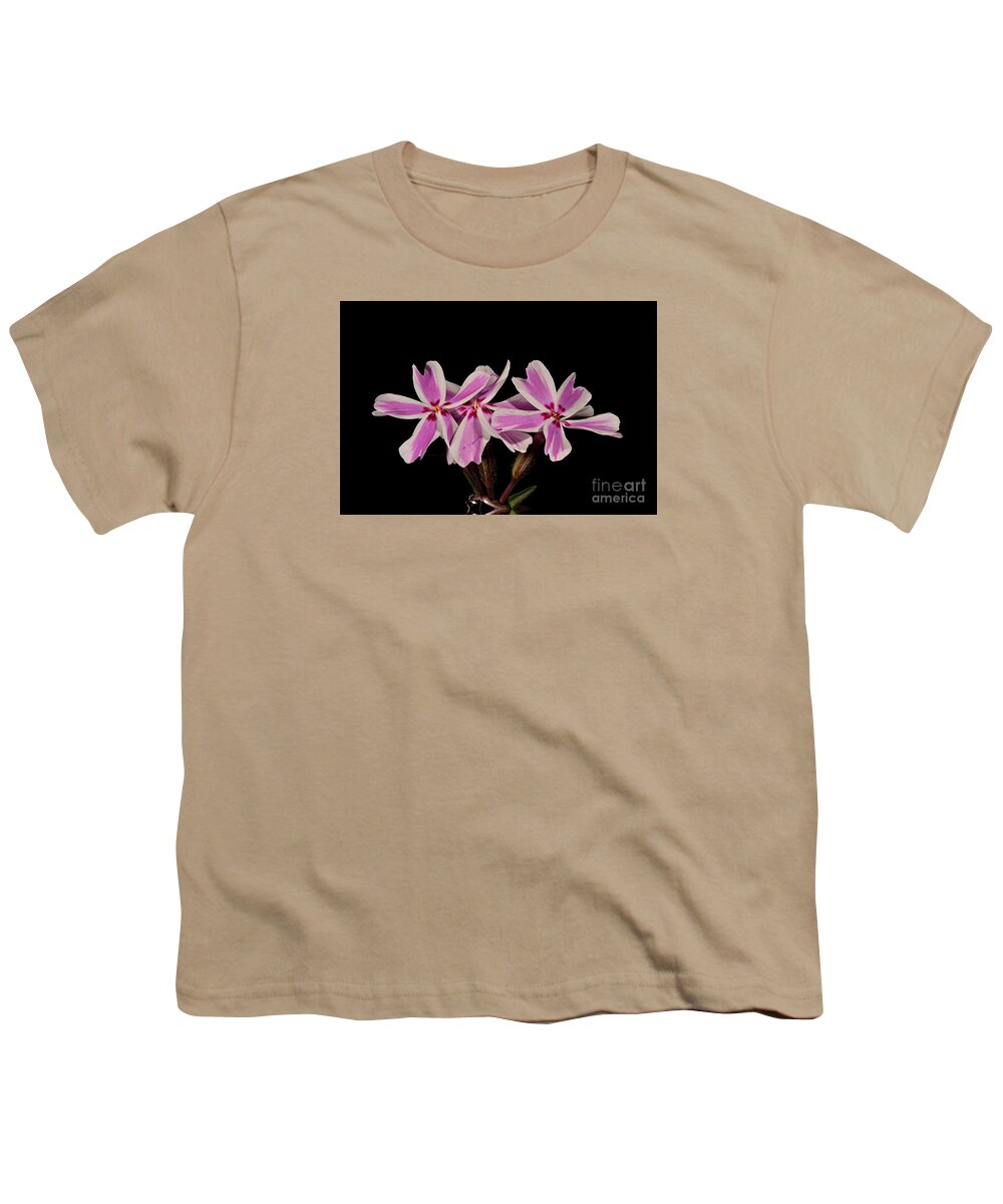 Candy Stripe Phlox Flower Plant Nature Wildlife Youth T-Shirt featuring the photograph Candy Strip Phlox by Ken DePue