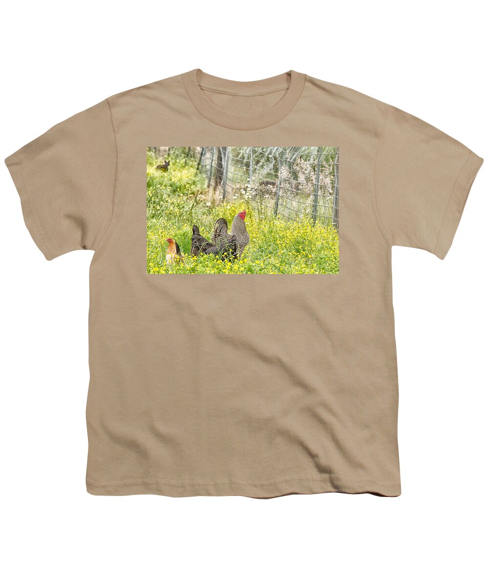 Agriculture Youth T-Shirt featuring the photograph Chickens in the field by Debra Baldwin