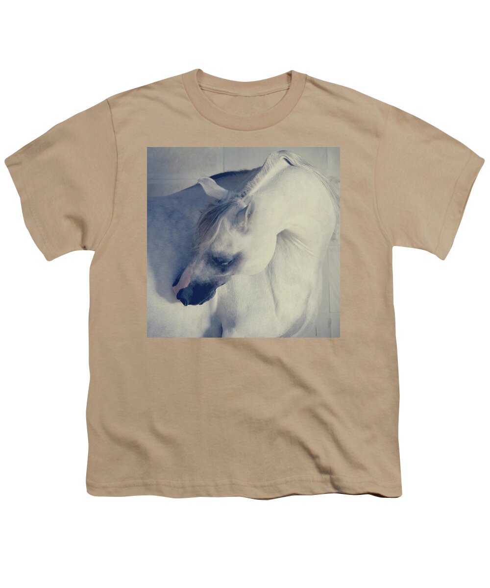 Russian Artists New Wave Youth T-Shirt featuring the photograph Curves by Ekaterina Druz