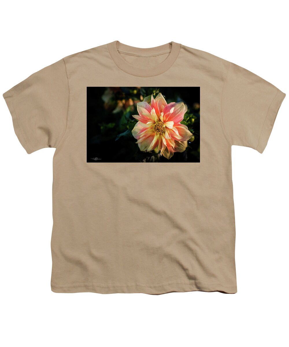 Dahlia Apple Blossom Youth T-Shirt featuring the photograph Dahlia named Apple Blossom by Torbjorn Swenelius