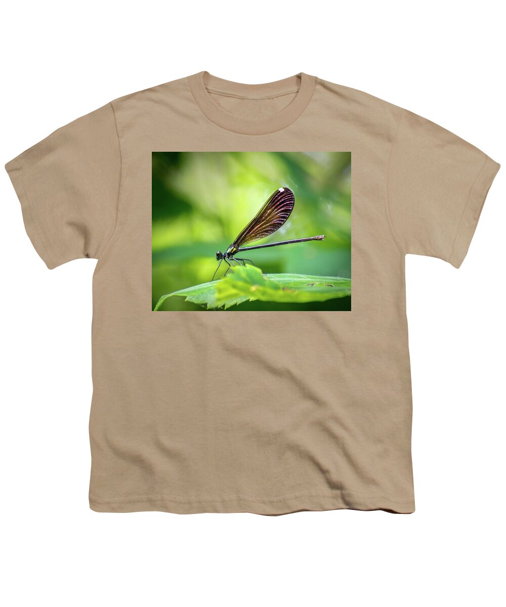 Damselfly Youth T-Shirt featuring the photograph Dark Damsel by Bill Pevlor