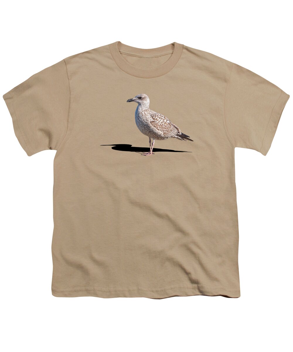 Seagull Youth T-Shirt featuring the photograph Daydreaming by Gill Billington