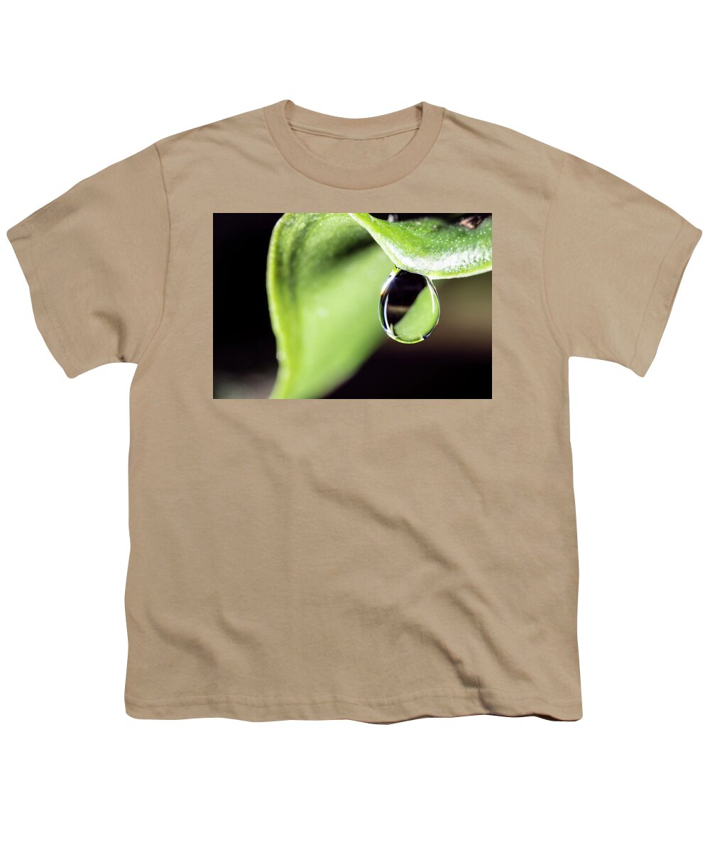 Dew Drop Plant Leaf Leaves Macro Closeup Close Up Botany Youth T-Shirt featuring the photograph Dew drop by Brian Hale