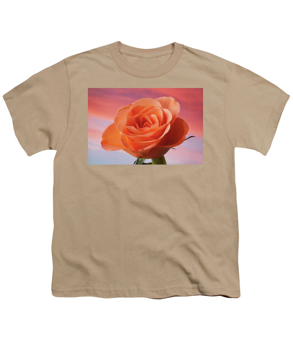Rose Portrait Youth T-Shirt featuring the photograph Evening Rose by Terence Davis